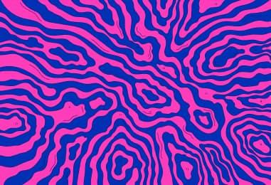 Lead Generation Specialist