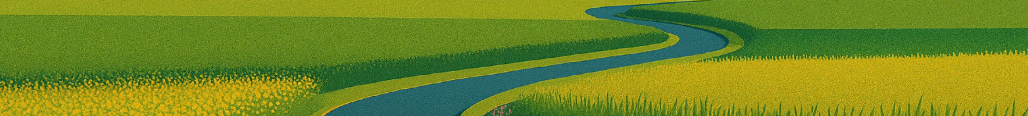 field